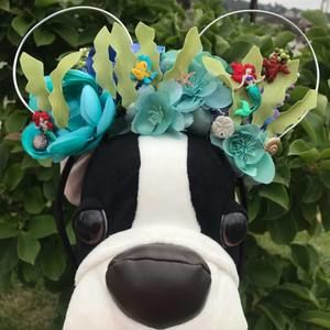 Meet your Posher, Debra